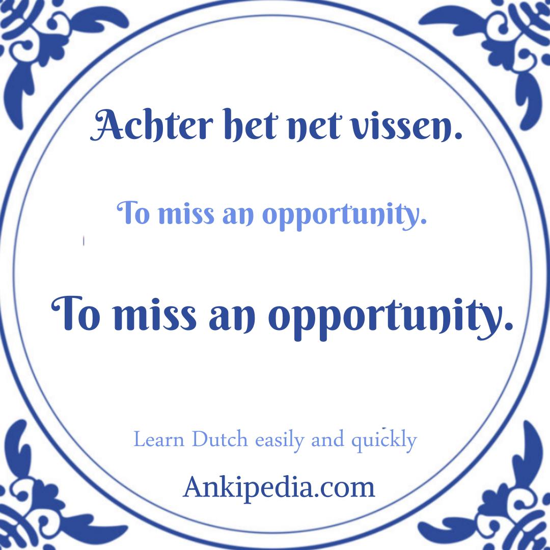 dutch sayings in english achter het net vissen  en