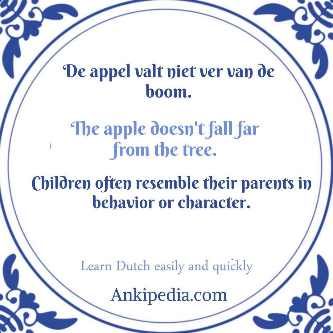 dutch sayings in english de appel valt niet ver van de boom  en