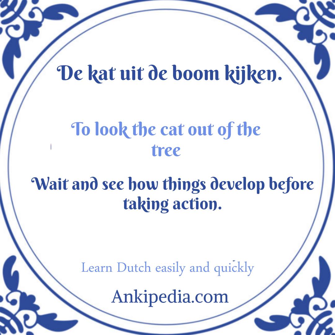 dutch sayings in english de kat uit de boom kijken  en