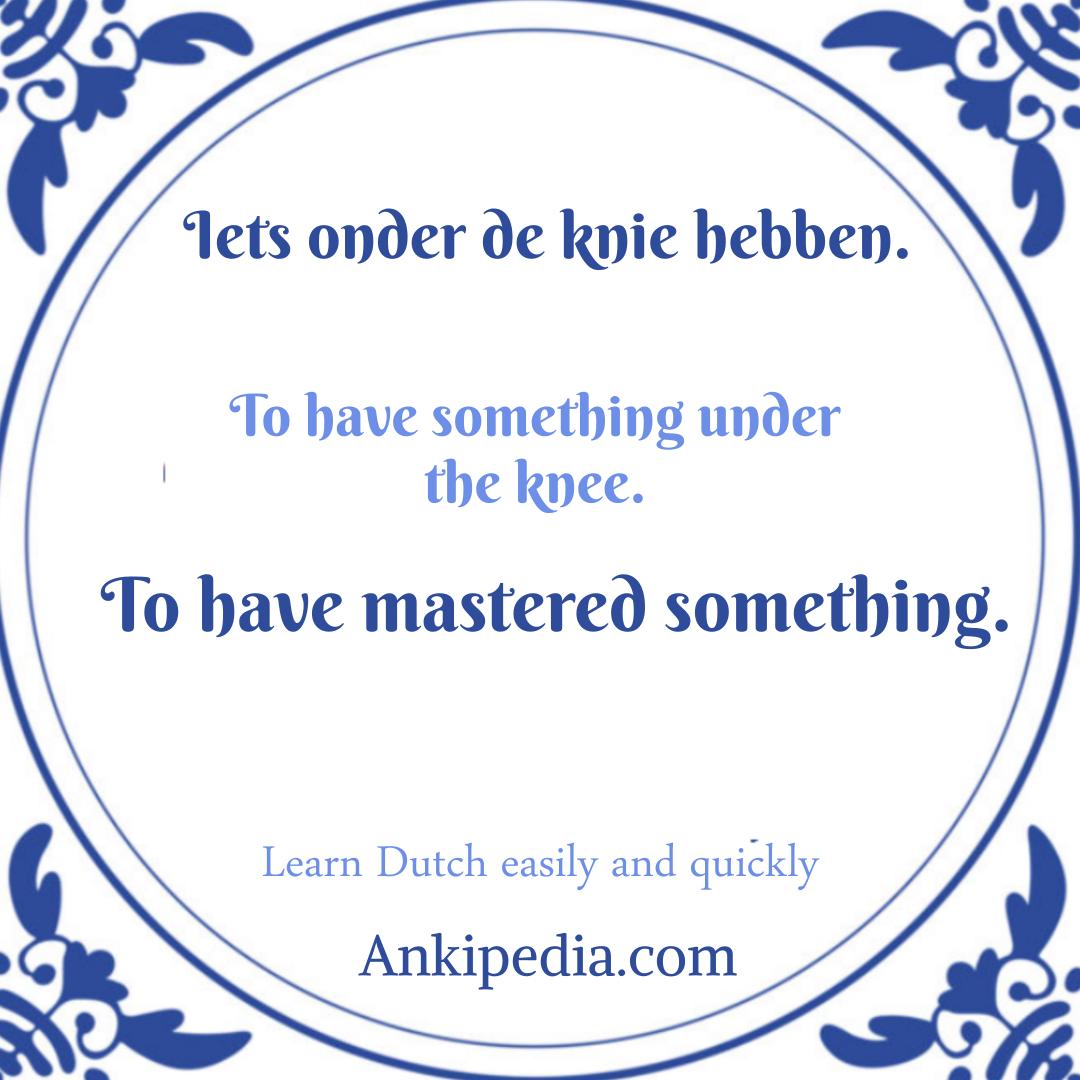 dutch sayings in english iets onder de knie hebben  en