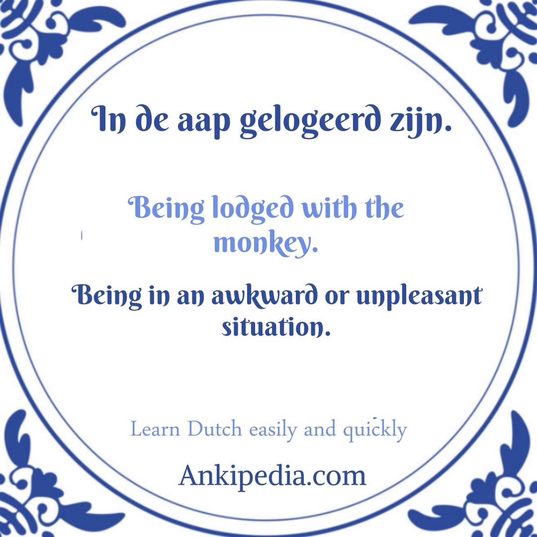 dutch sayings in english in de aap gelogeerd zijn  en