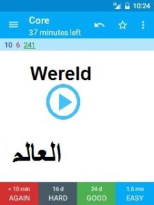 Screenshot vanuit Anki van een woord met vertaling naar Arabisch. 