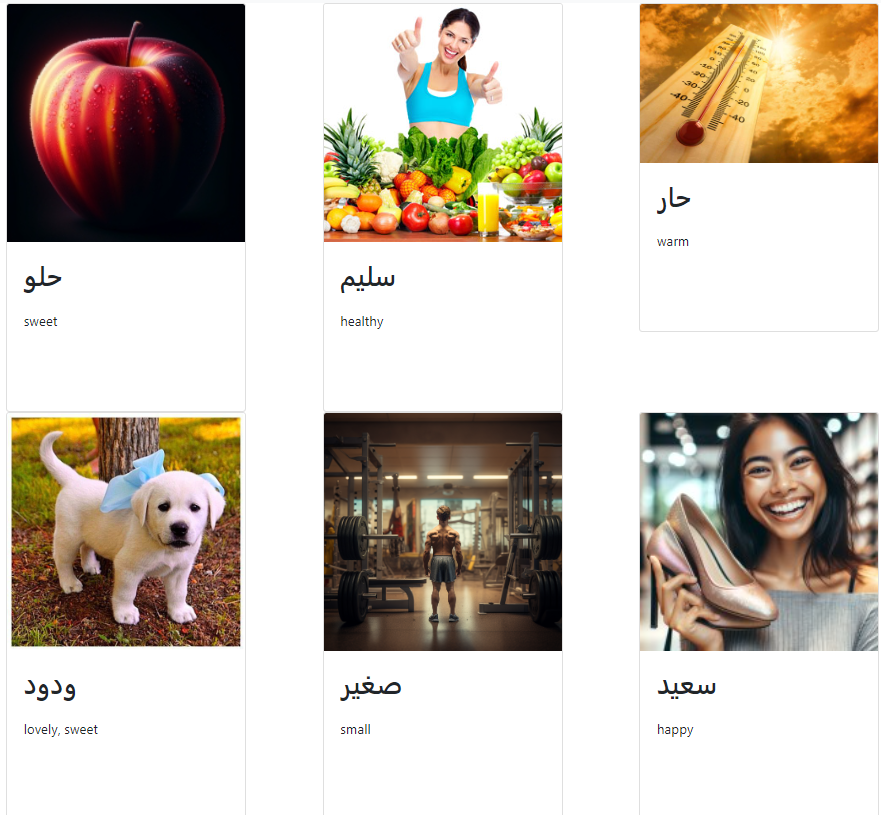 Illustration of some Arabic adjectives in our Anki deck